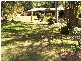 5 Trudy Crescent, Cornubia QLD 4130