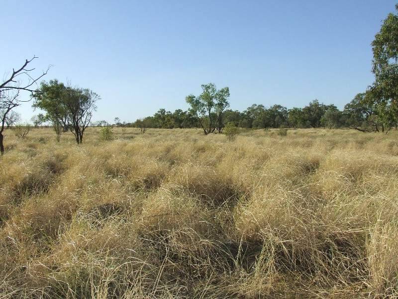 Muttaburra QLD 4732
