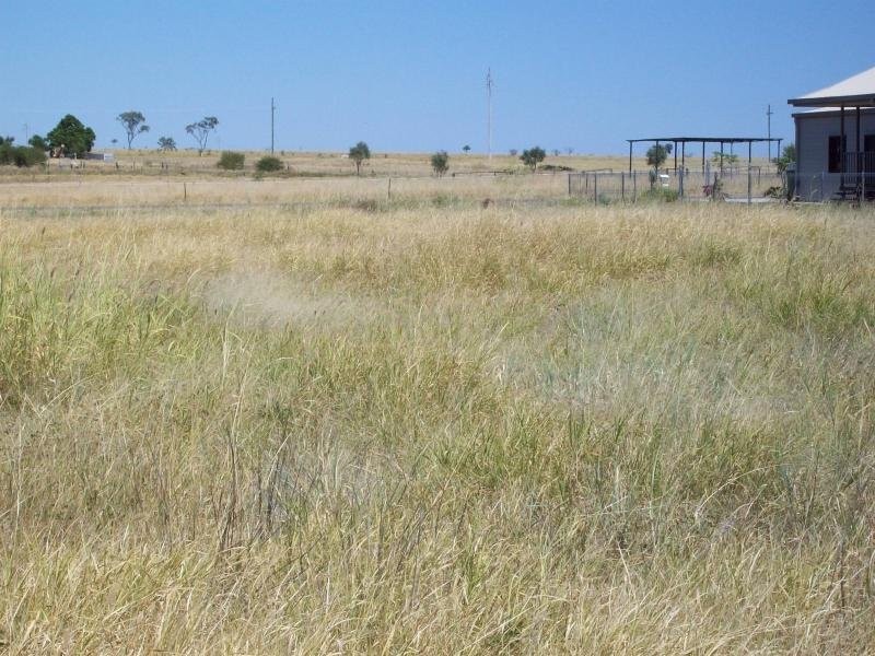 16 Alyss, Hughenden QLD 4821