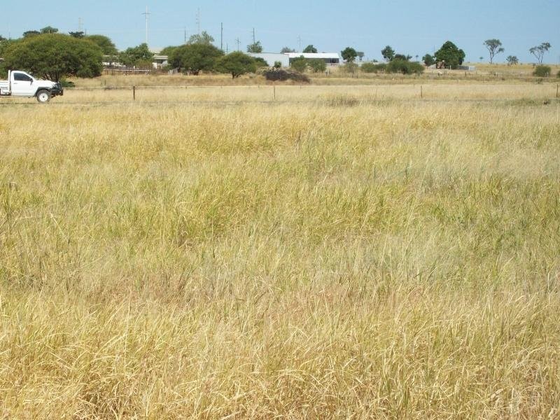 16 Alyss, Hughenden QLD 4821