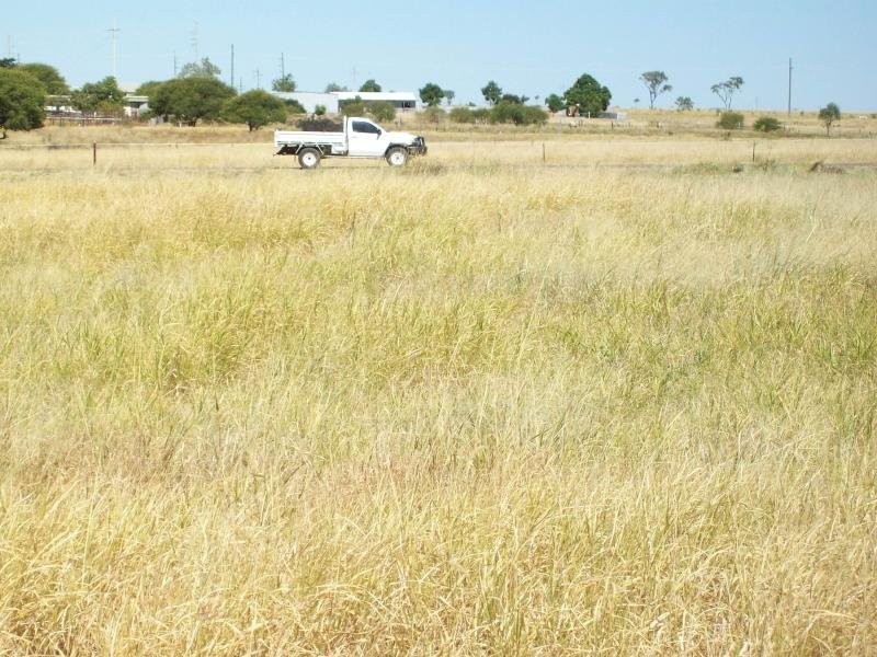 16 Alyss, Hughenden QLD 4821