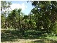 Pentland QLD 4816