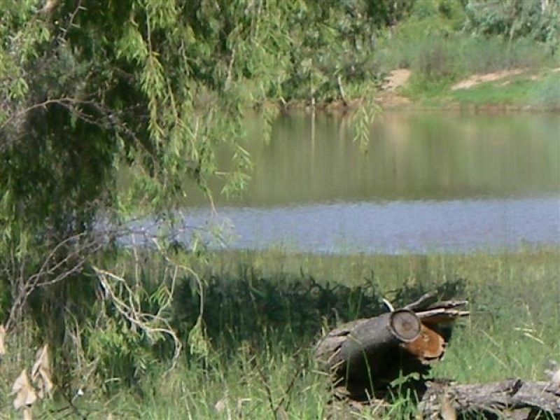 Pentland QLD 4816