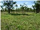 Pentland QLD 4816