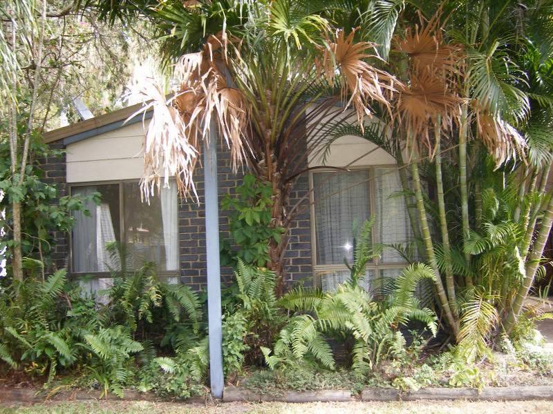 116 Hendry Street, Tewantin QLD 4565