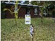 189 Grandview Drive, Coolum Beach QLD 4573