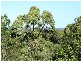 16 Goolwa Street, Coolum Beach QLD 4573