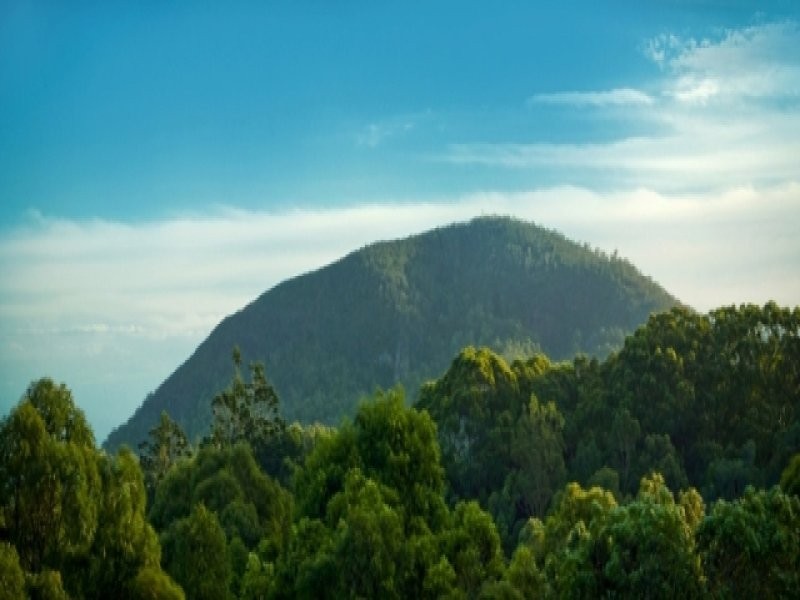 13 Sammi Court, Coolum Beach QLD 4573