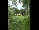 20 Hetherington Drive, Twin Waters QLD 4564