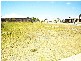 28 Seahorse Drive, Twin Waters QLD 4564