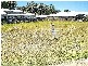 28 Seahorse Drive, Twin Waters QLD 4564