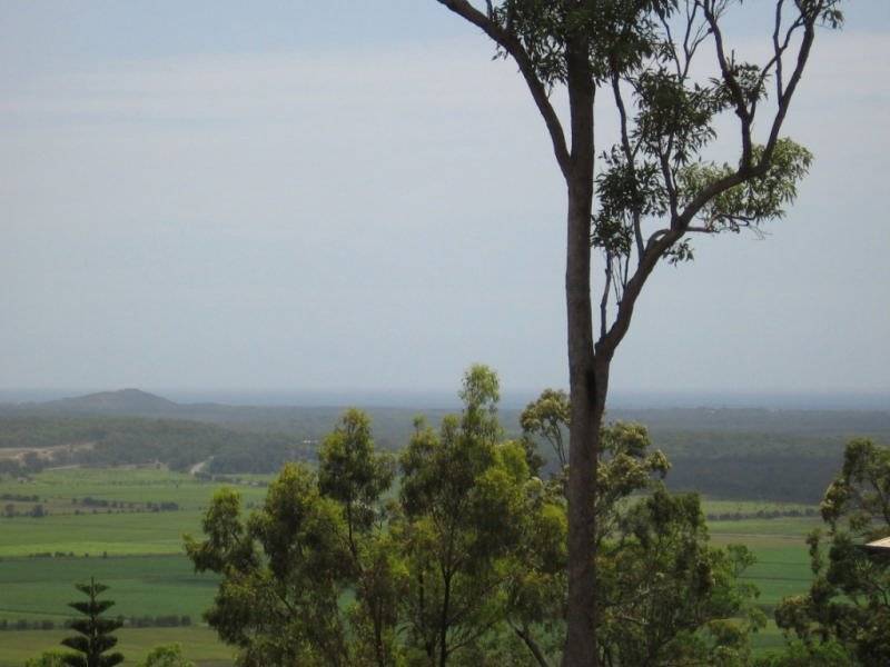 11 Donovan Place, Maroochy River QLD 4561