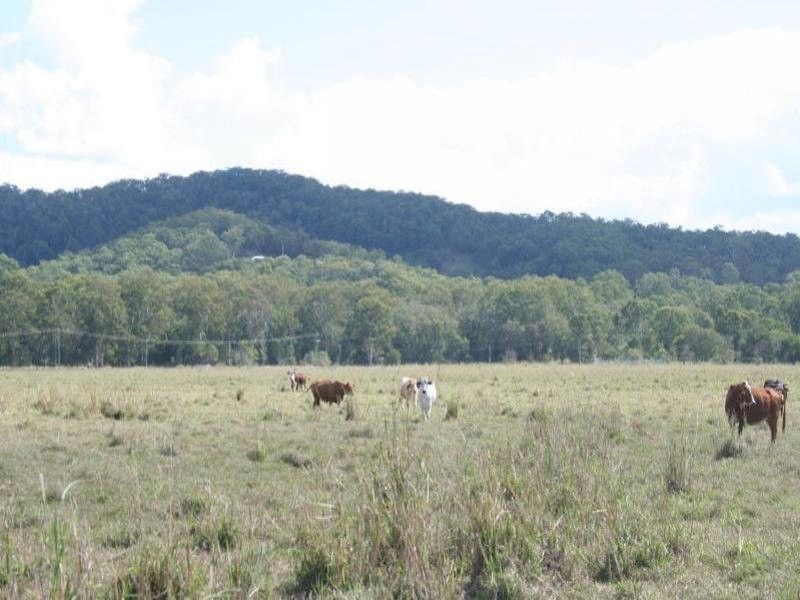 115 Doonan Bridge Road, Verrierdale QLD 4562