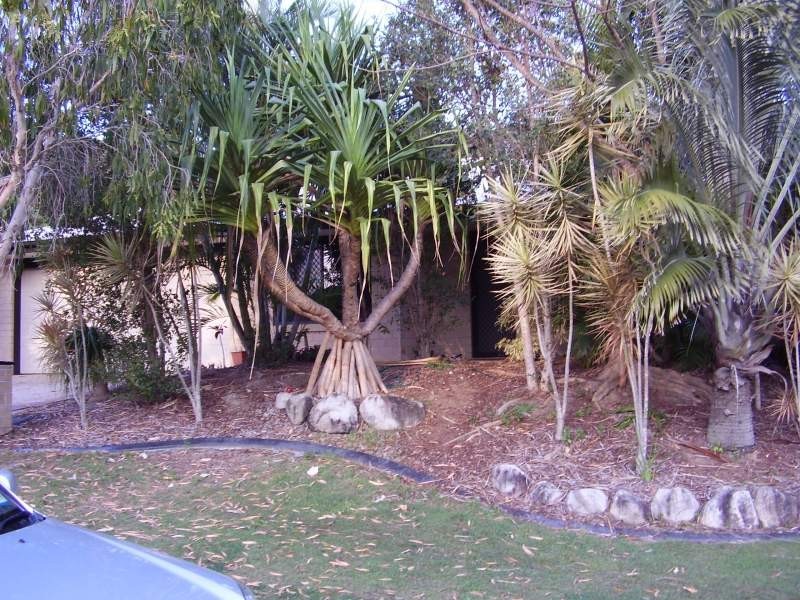 39 Avalon Street, Coolum Beach QLD 4573