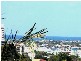 14 Kalinda Avenue, Mooloolaba QLD 4557