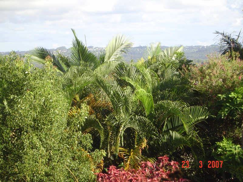 44A Willis Road, Bli Bli QLD 4560