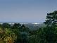 21 William Street, Buderim QLD 4556