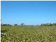 Lot 2 Kate Avenue, Deepwater QLD 4674