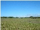 Lot 2 Kate Avenue, Deepwater QLD 4674