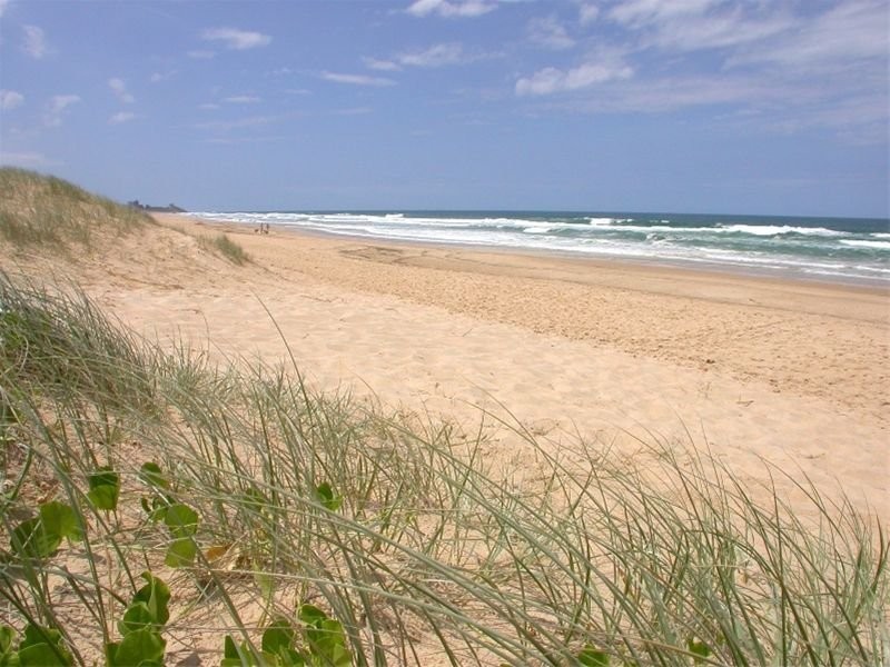 7 Akounah Crescent, Buddina QLD 4575