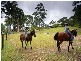 11 Eudlo Flats Road, Diddillibah QLD 4559