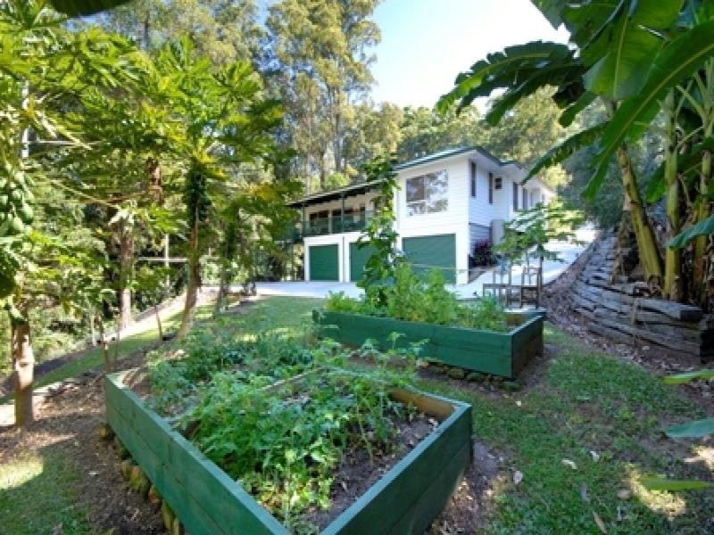 Diddillibah QLD 4559