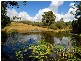 2 Old Mill Road, Cooroy QLD 4563