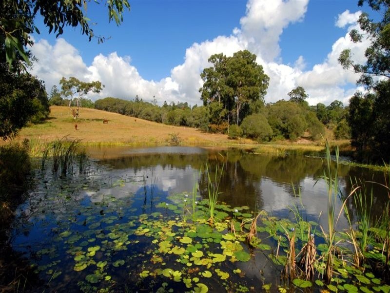 2 Old Mill Road, Cooroy QLD 4563
