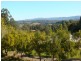 76 Upper Rosemount Road, Rosemount QLD 4560