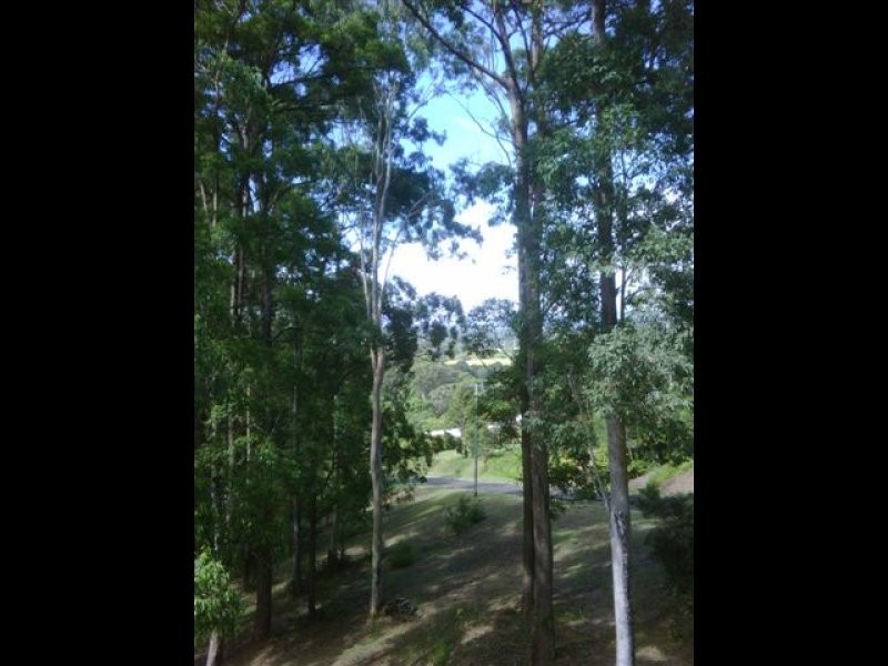 1 Melcar Court, Diddillibah QLD 4559