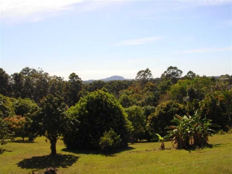 739 Diddillibah Road, Diddillibah QLD 4559