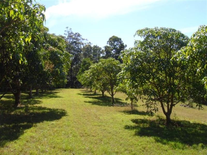 739 Diddillibah Road, Diddillibah QLD 4559