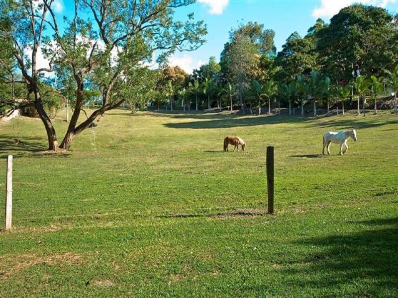 429 Kiel Mountain Road, Diddillibah QLD 4559