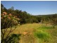 282 Diddillibah Road, Diddillibah QLD 4559