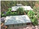 104 Chevallum Road, Palmwoods QLD 4555