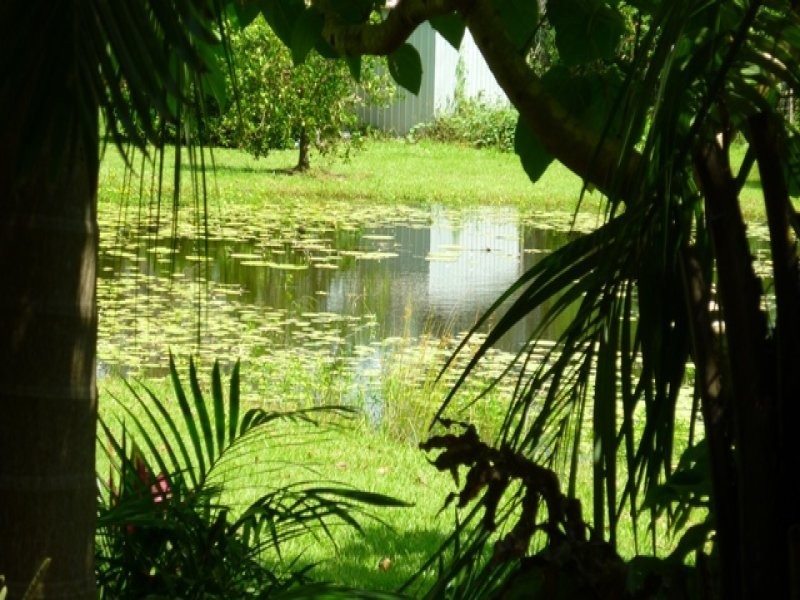 103 Eudlo Flats Road, Diddillibah QLD 4559