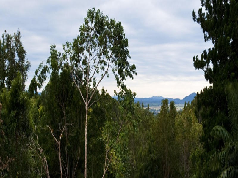 3 Johnston Place, Buderim QLD 4556