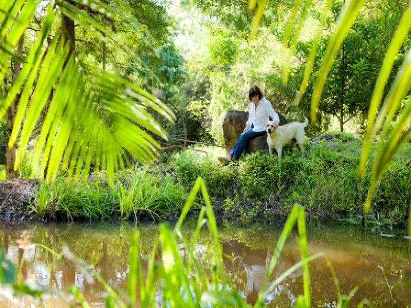 360 Diddillibah Road, Diddillibah QLD 4559