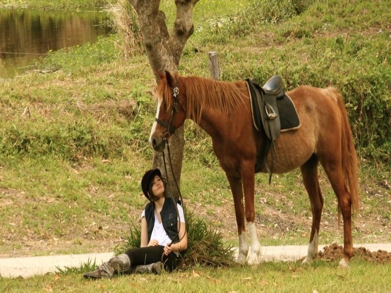 186 Diddillibah Road, Woombye QLD 4559