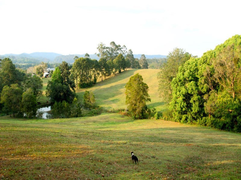 186 Diddillibah Road, Woombye QLD 4559