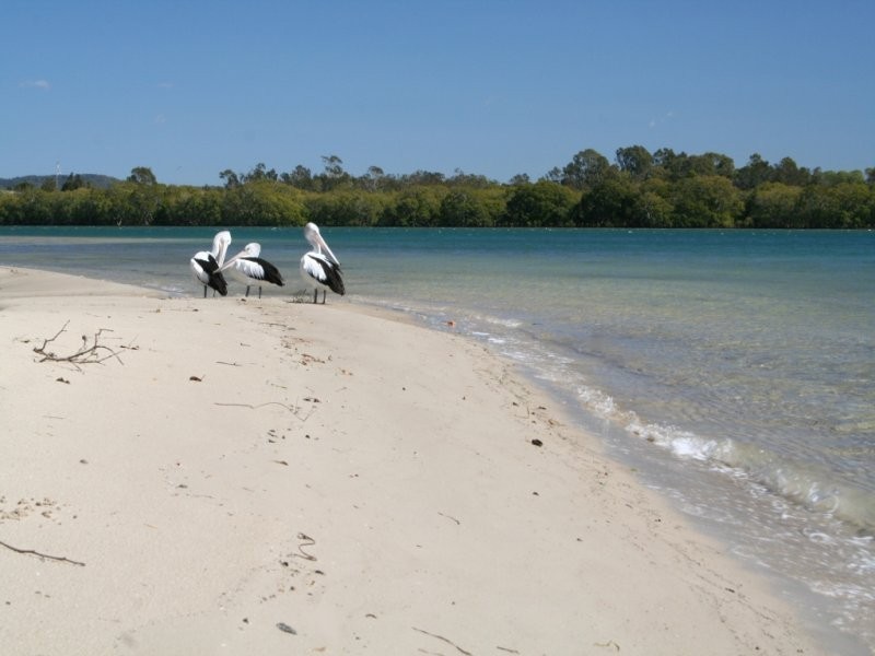 96 Duporth Avenue, Maroochydore QLD 4558