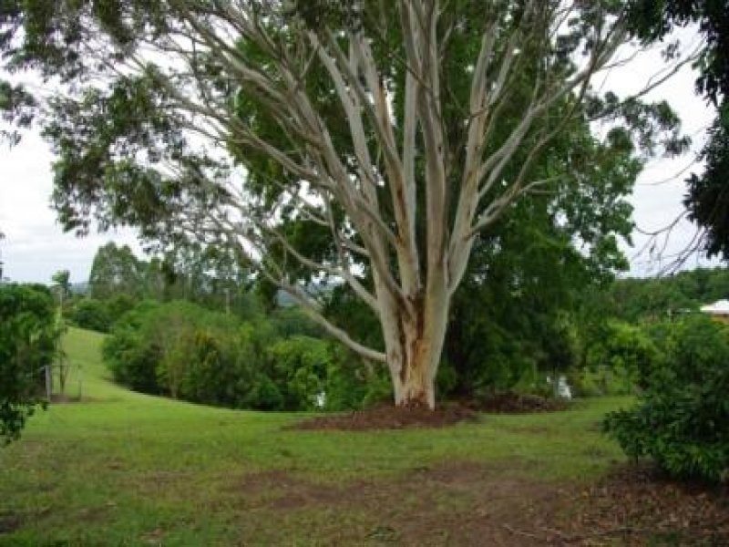 45a Kiel Mountain Road, Woombye QLD 4559