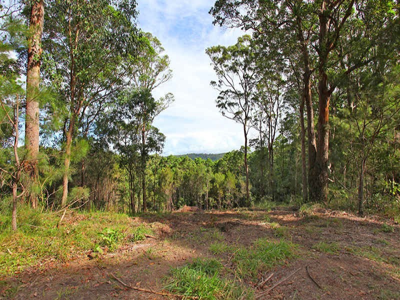 82 Camp Flat Road, Bli Bli QLD 4560