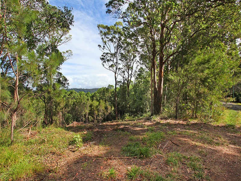 82 Camp Flat Road, Bli Bli QLD 4560