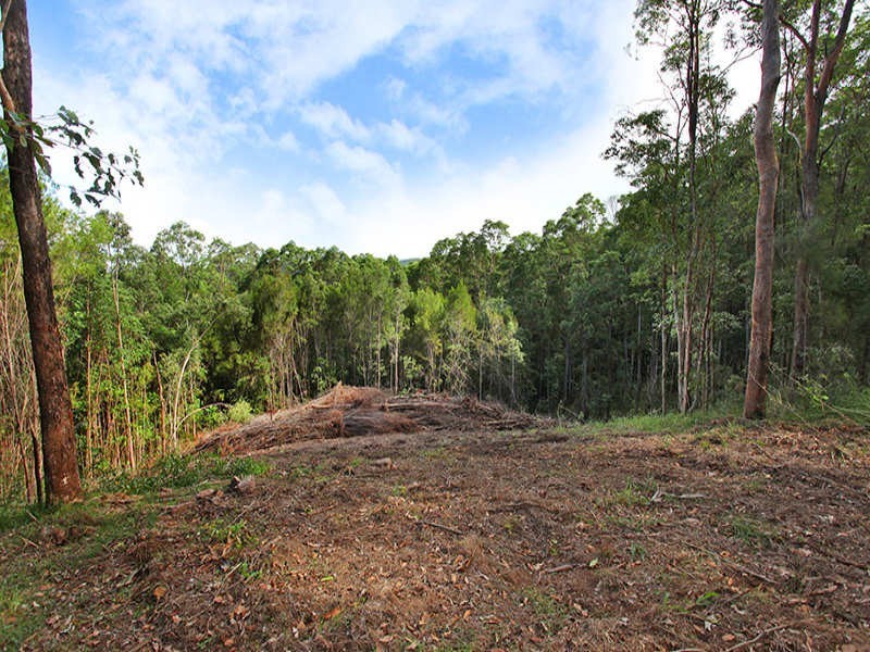 82 Camp Flat Road, Bli Bli QLD 4560