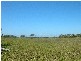 Lot 2 Kate Avenue, Deepwater QLD 4674