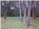 Lot 6, and 9 115 Upper Rosemount Road, Rosemount QLD 4560