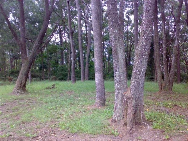 Lot 6, and 9 115 Upper Rosemount Road, Rosemount QLD 4560