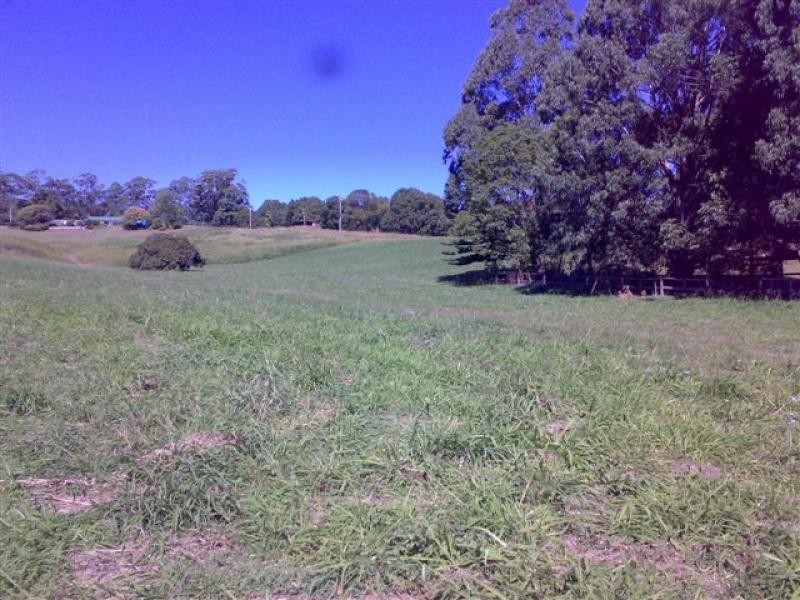 220 Diddillibah Road, Woombye QLD 4559