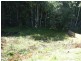 LOT 31 Martins Creek Rd, Buderim QLD 4556